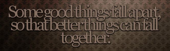 Some-Good-Things-Fall-Apart